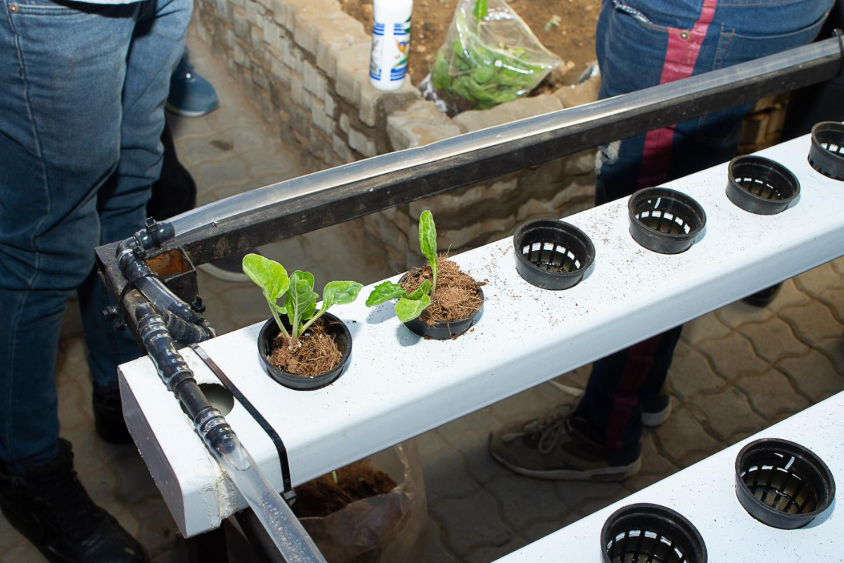 InnoNation Foundation - Community farming and aquaponics